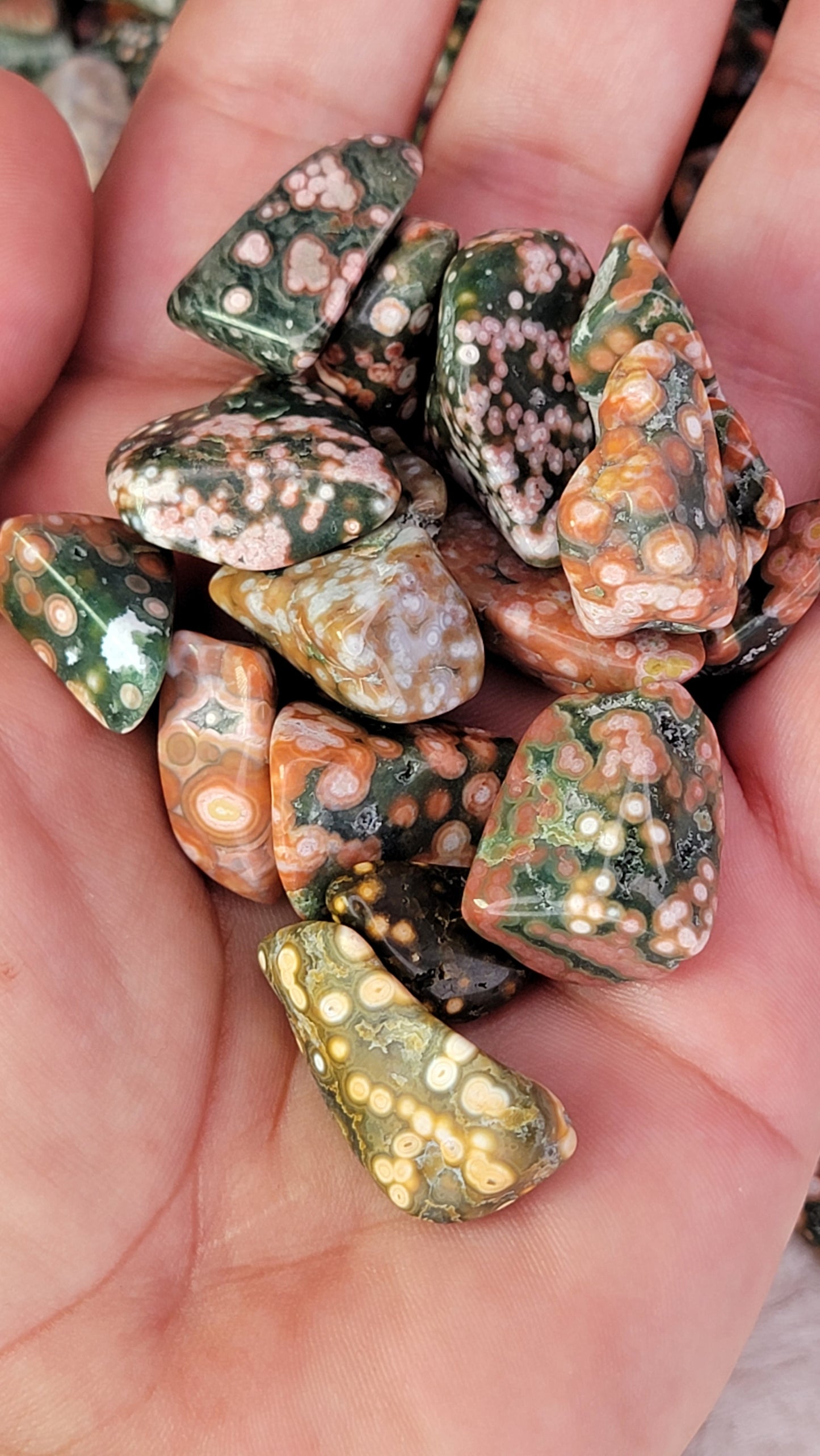 Veinless Ocean Jasper Tumble Bundle-Extra Grade 1-3cm