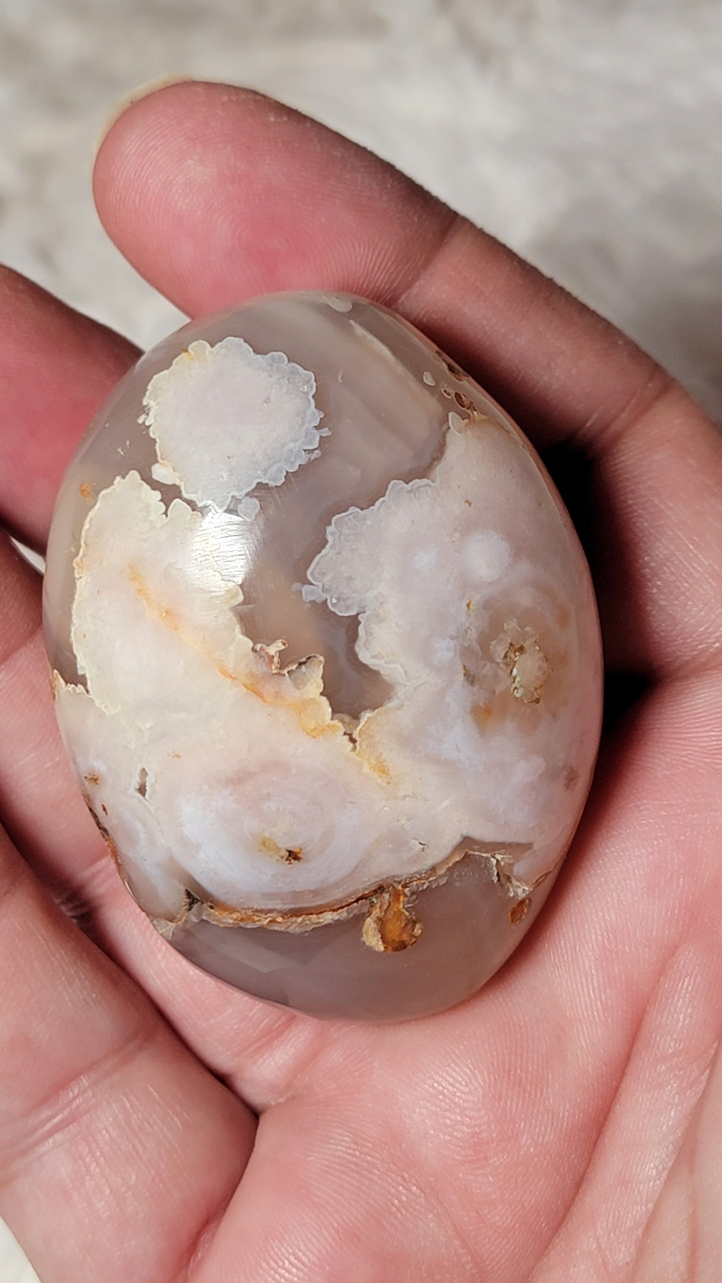 Flower Agate Palm - Crystal Jail Funds