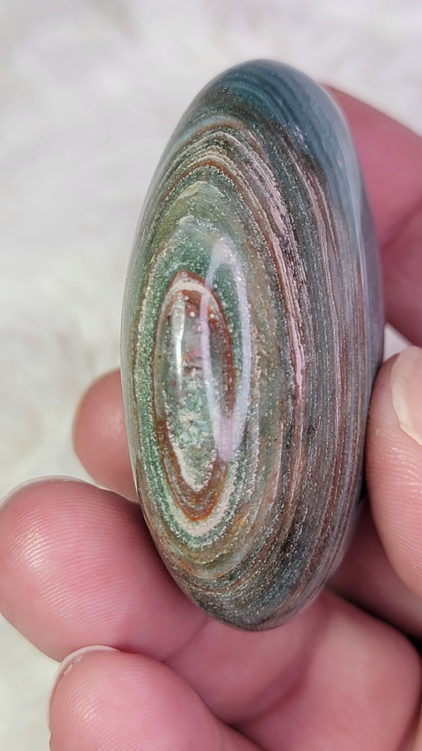 Ocean Wave Jasper Palm