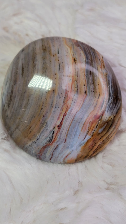 Ocean Wave Jasper Palm