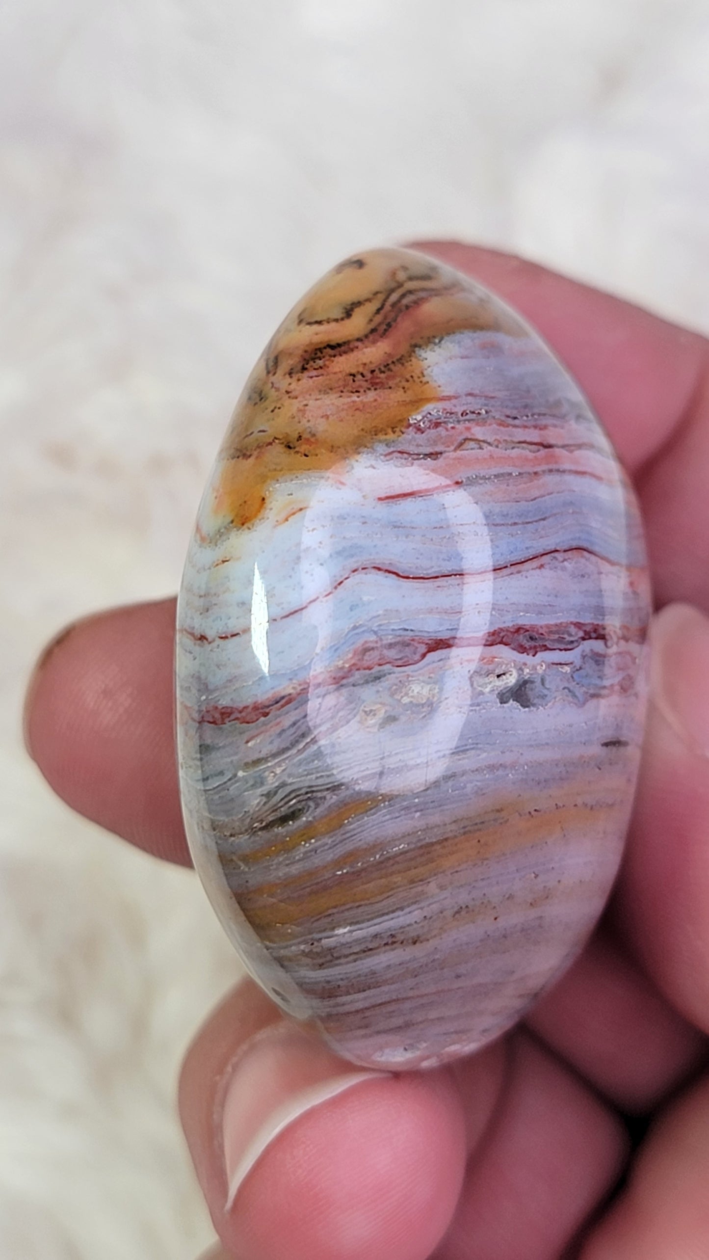 Ocean Wave Jasper Palm