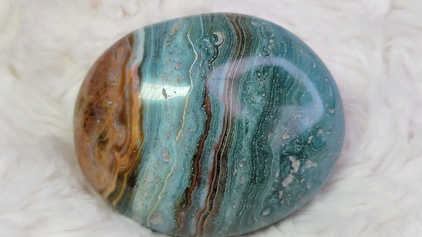 Ocean Wave Jasper Palm