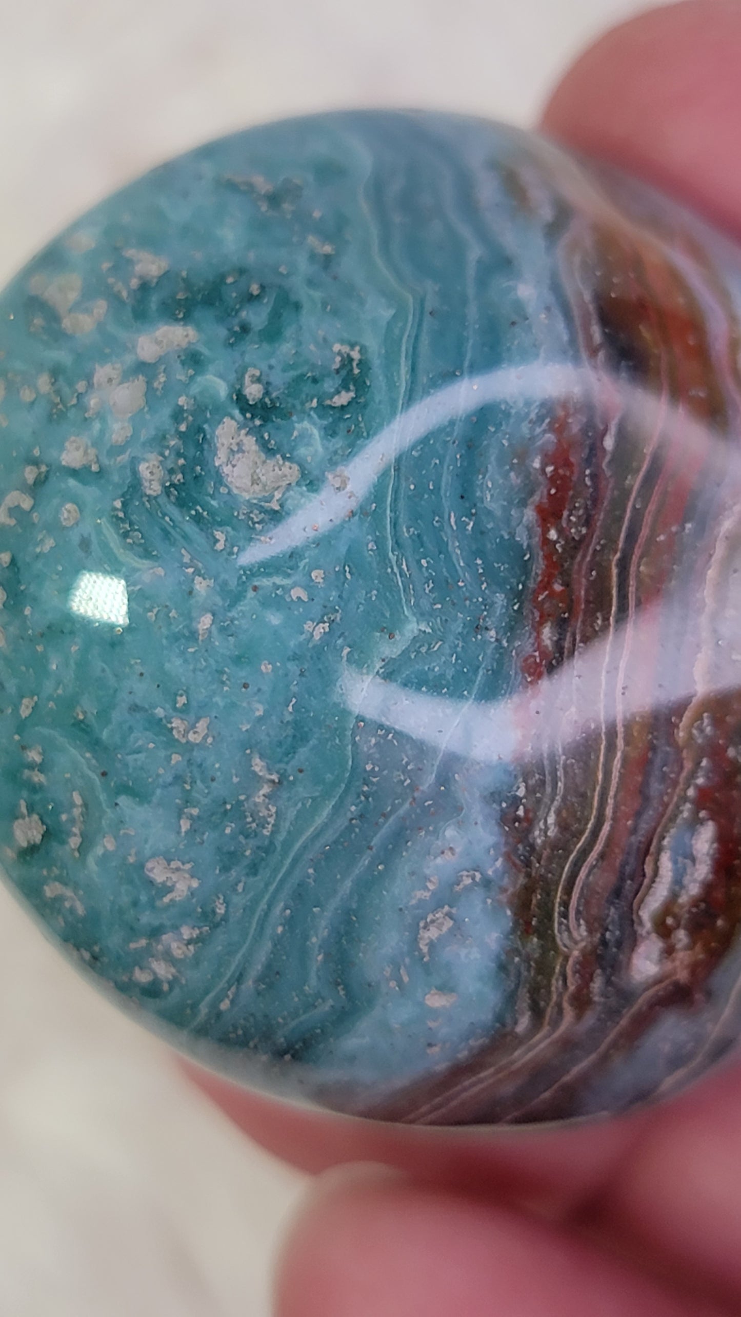 Ocean Wave Jasper Palm