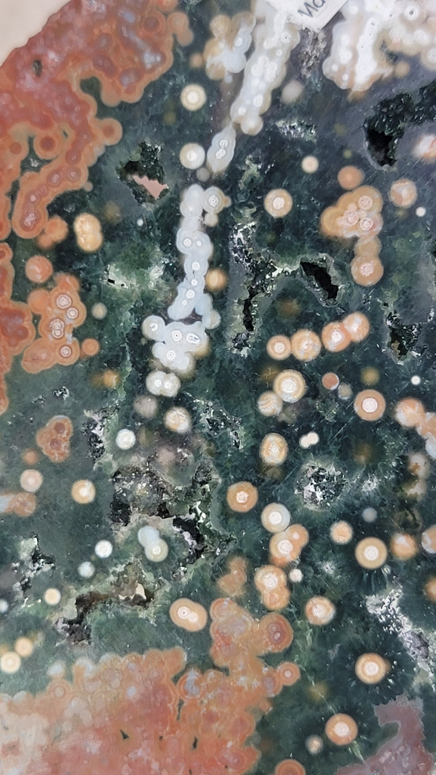 Veinless Ocean Jasper Slab