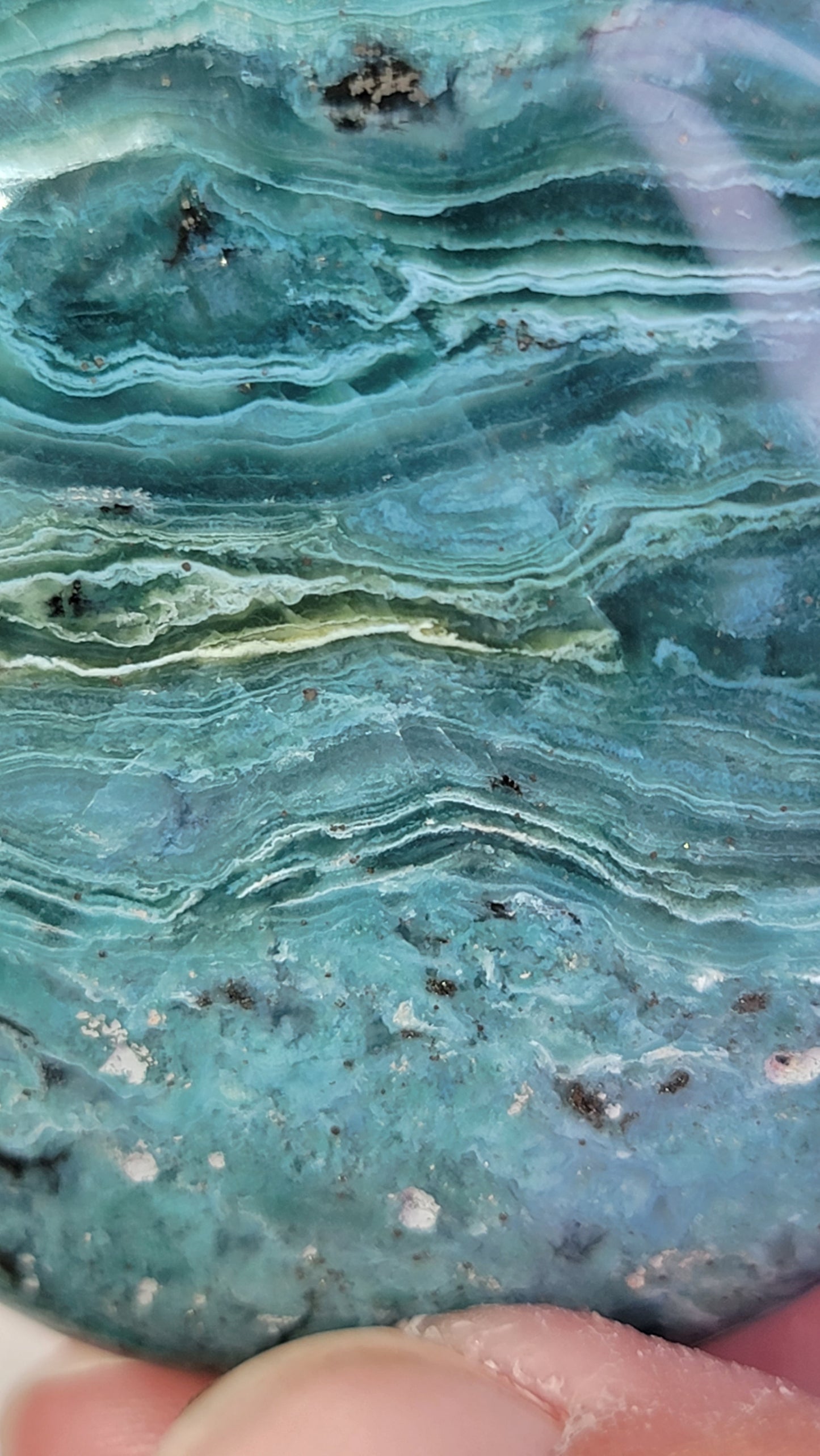 Ocean Wave Jasper Palm