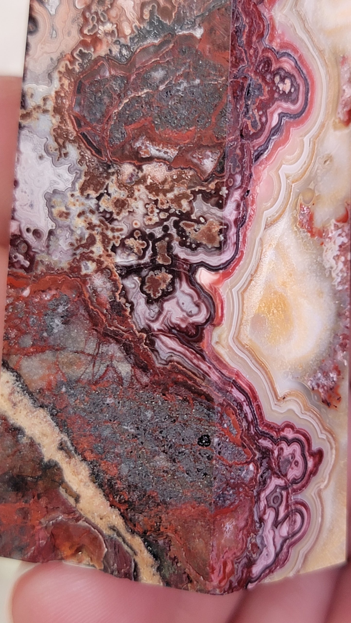 Mexican Crazy Lace Agate