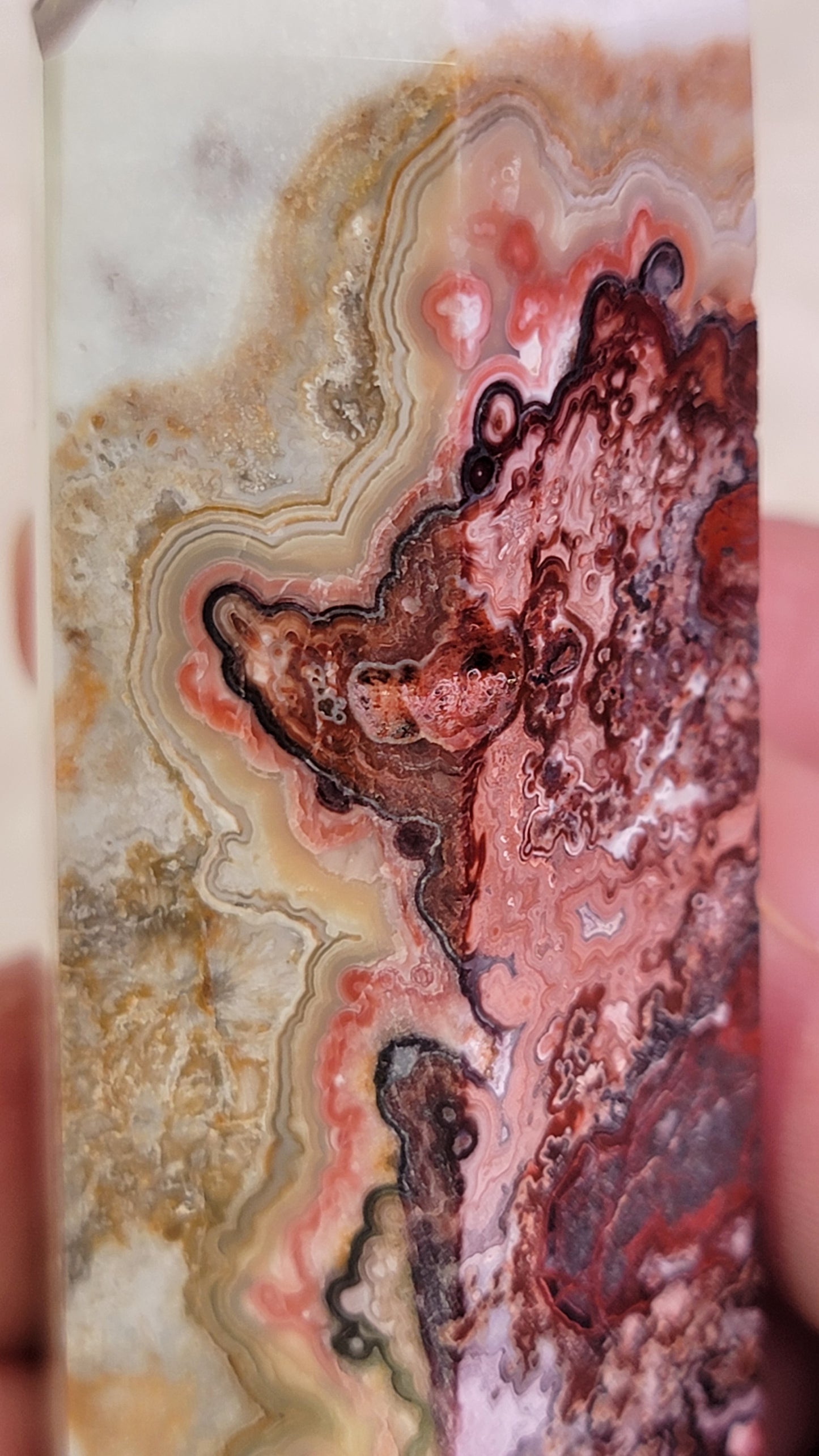 Mexican Crazy Lace Agate