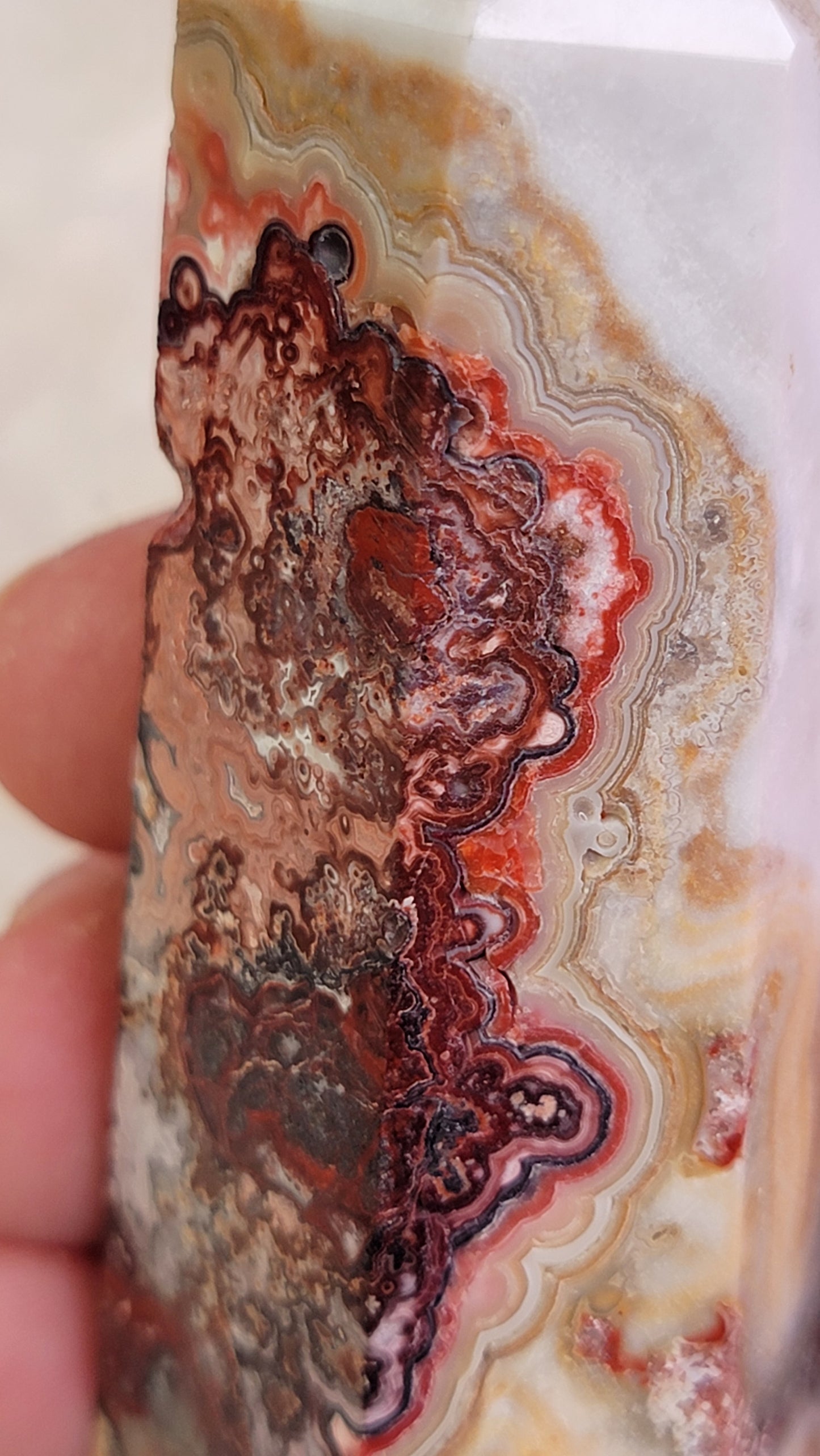 Mexican Crazy Lace Agate