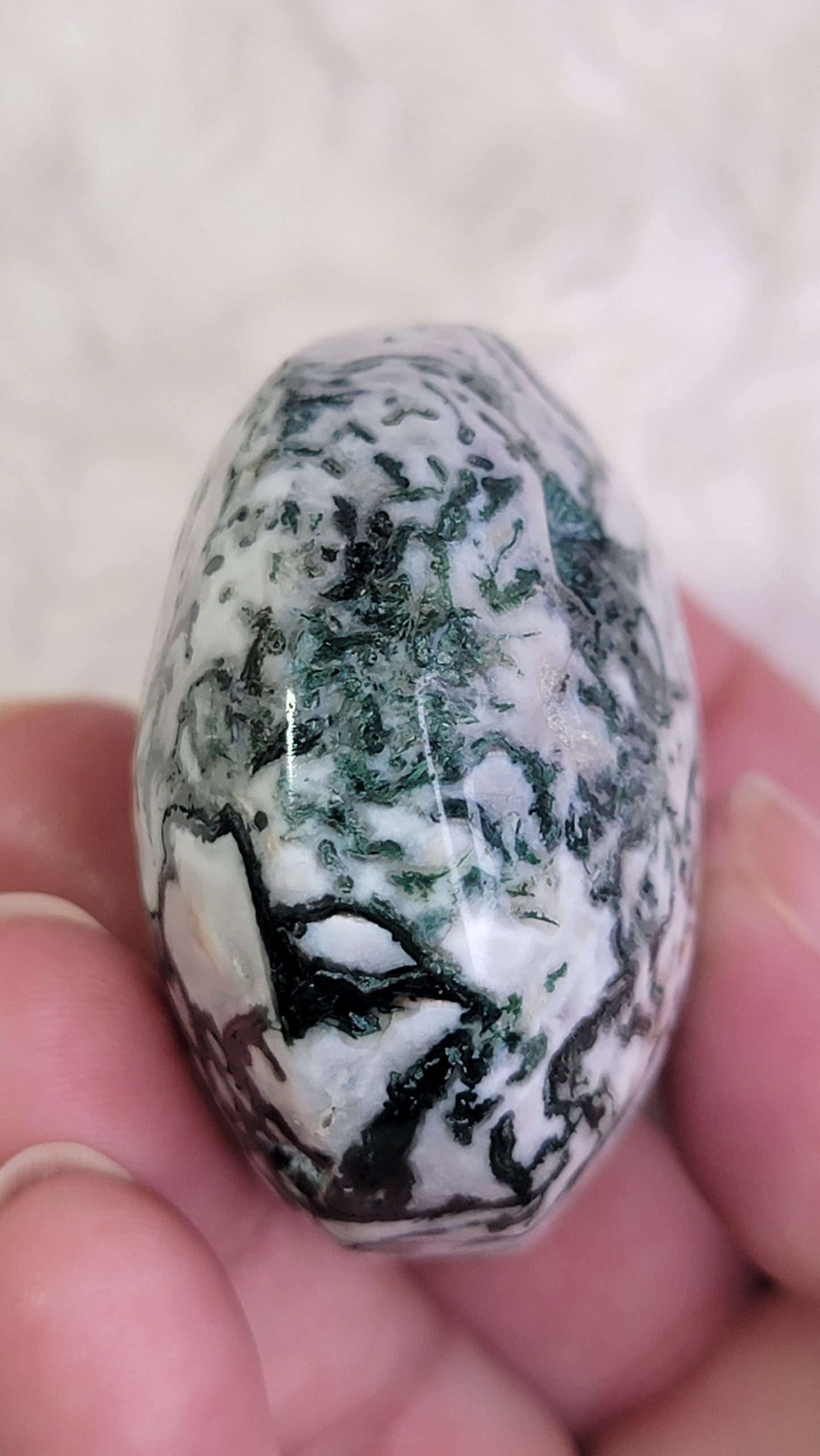 Moss Agate Palm Stone