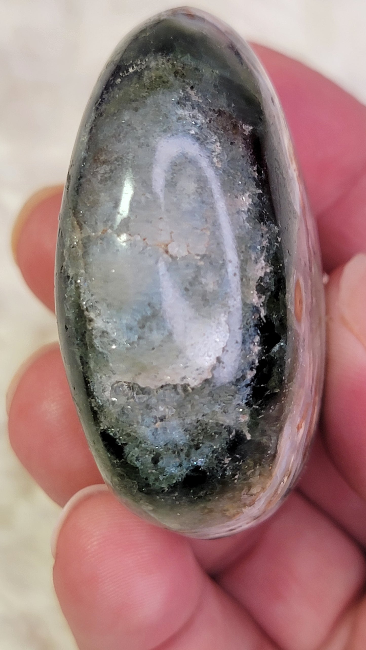 Ocean Jasper Palm, Old Stock