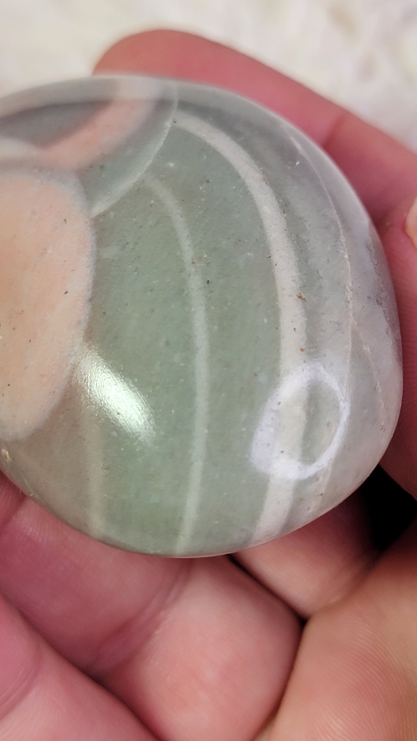 Ocean Wave Jasper Palm