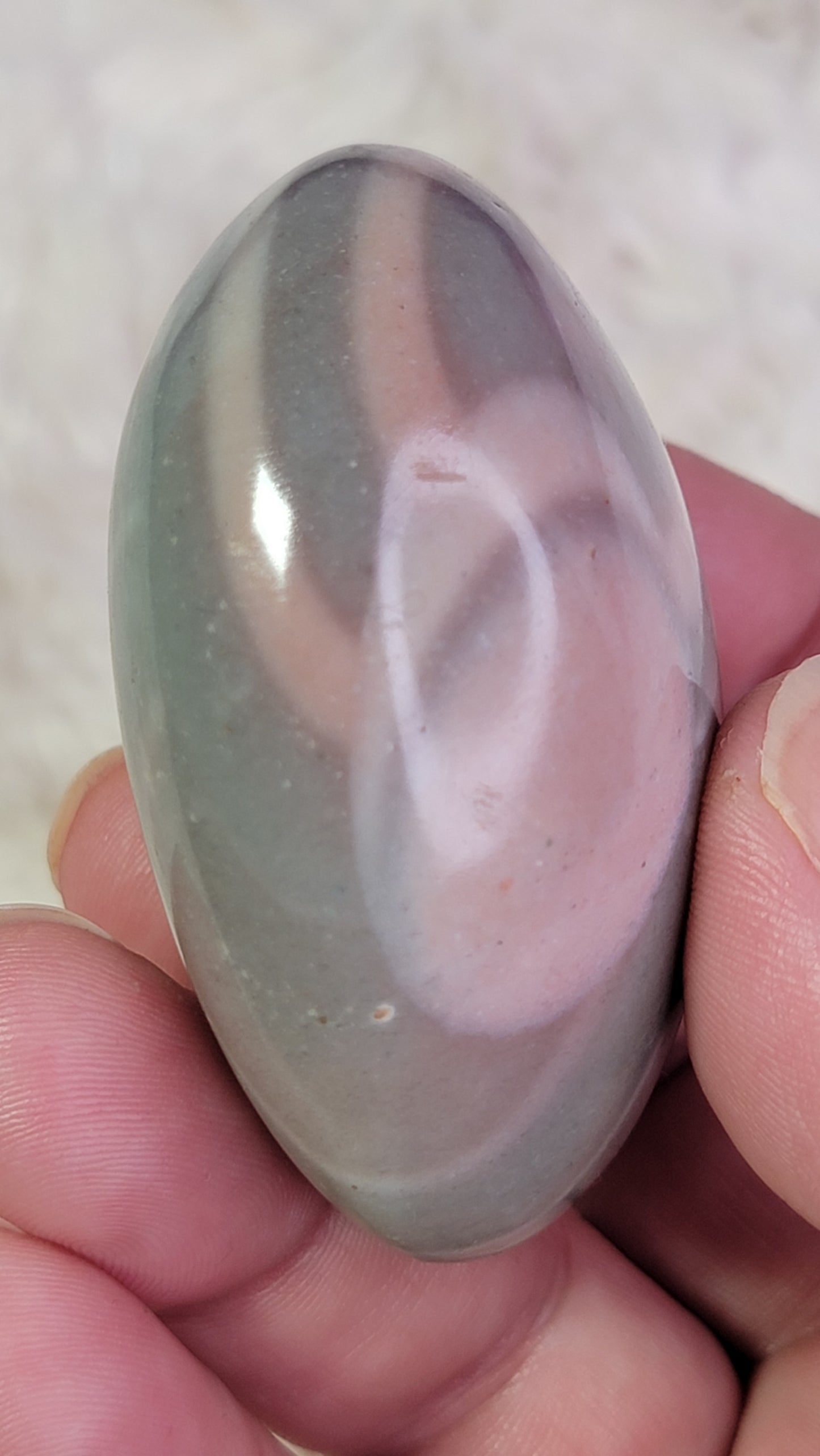 Ocean Wave Jasper Palm