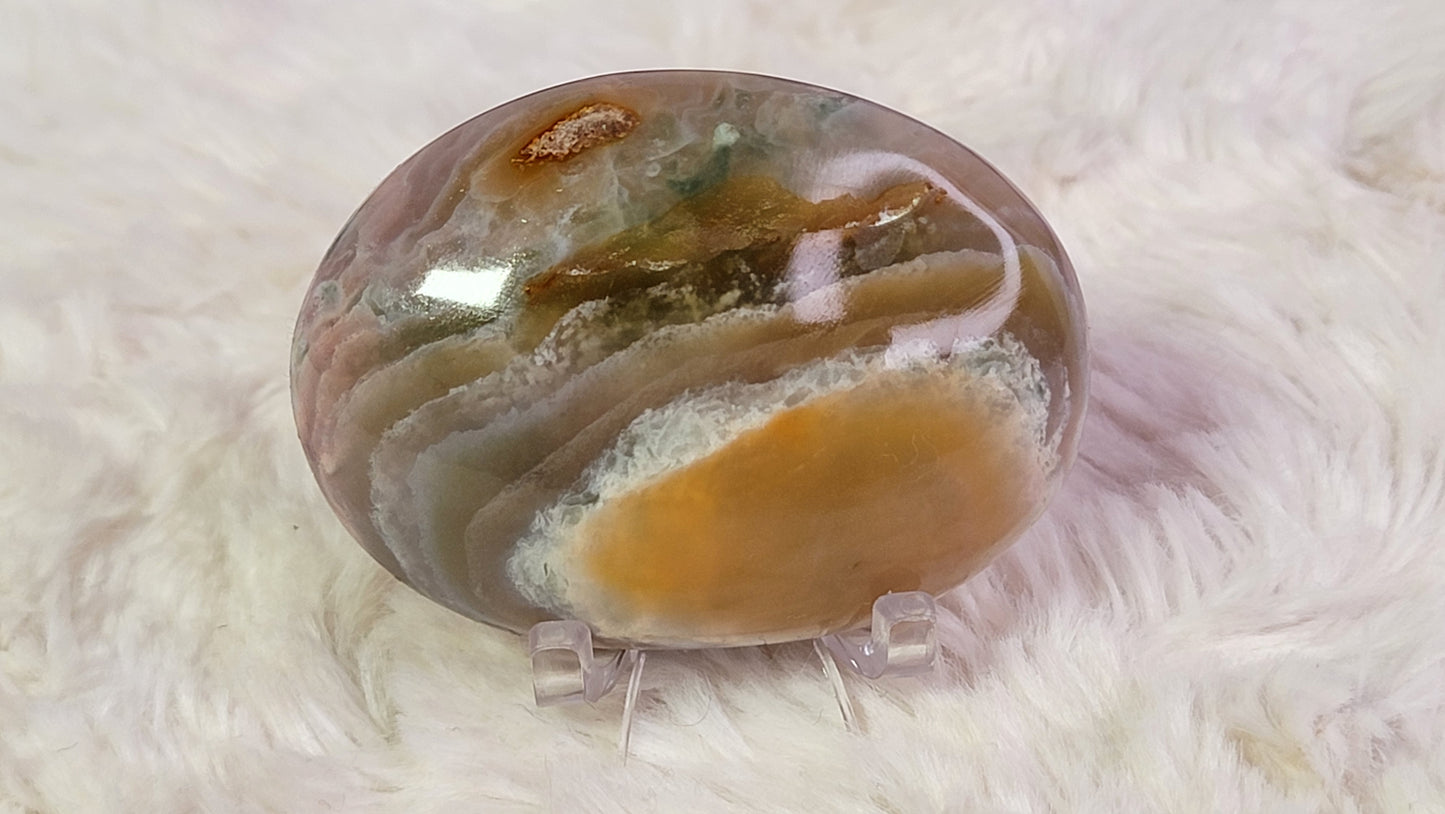 Ocean Wave Jasper Palm