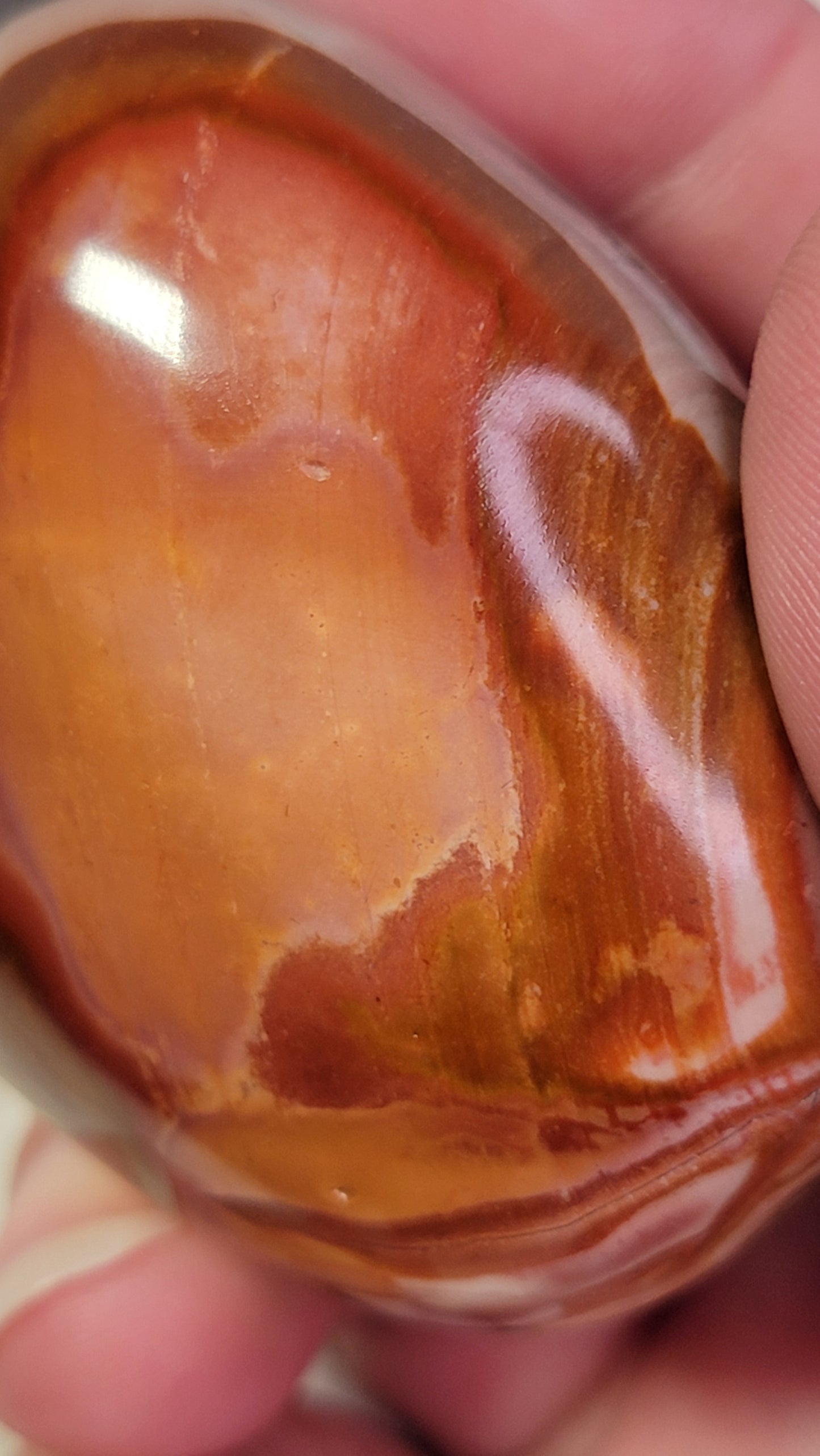 Polychrome Jasper Palm Stone