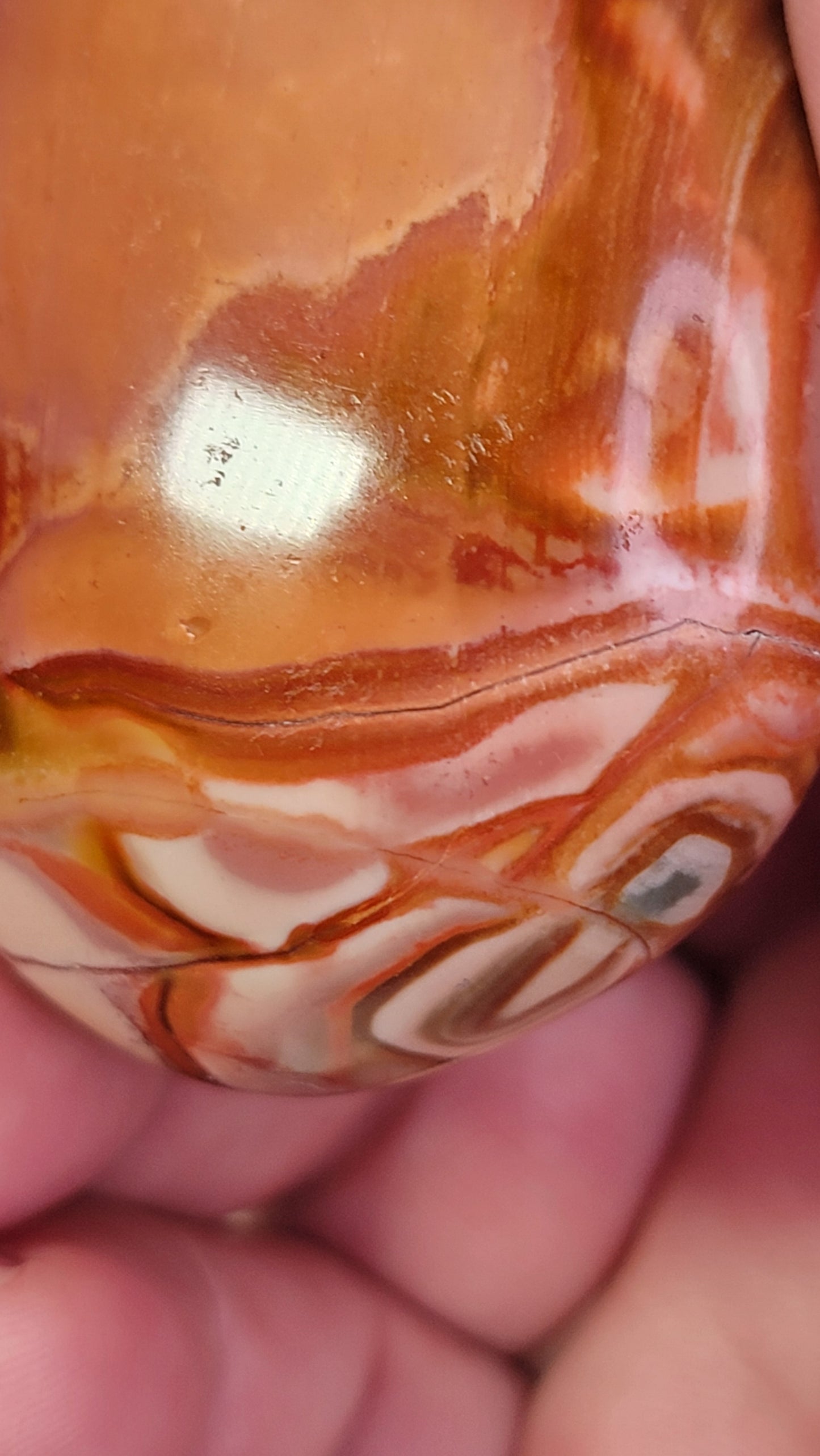 Polychrome Jasper Palm Stone