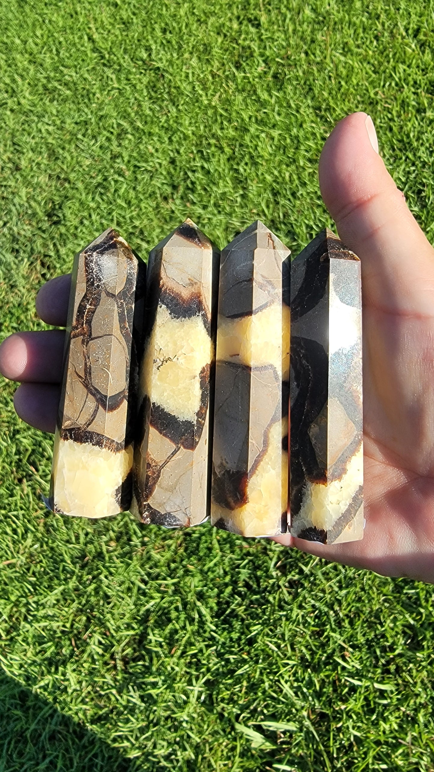 Crystal Jail Funds Septarian Tower