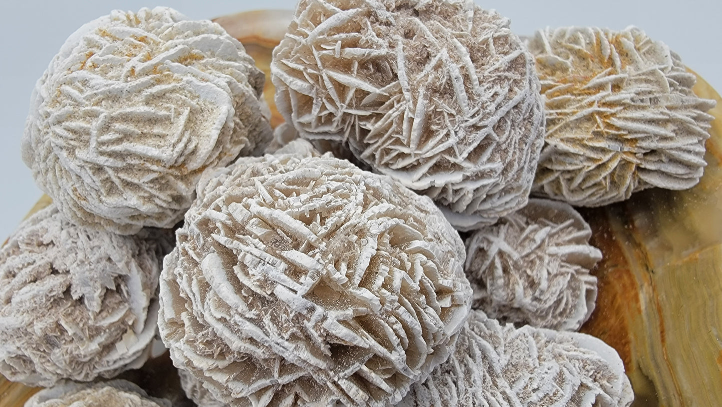 Desert Rose Selenite