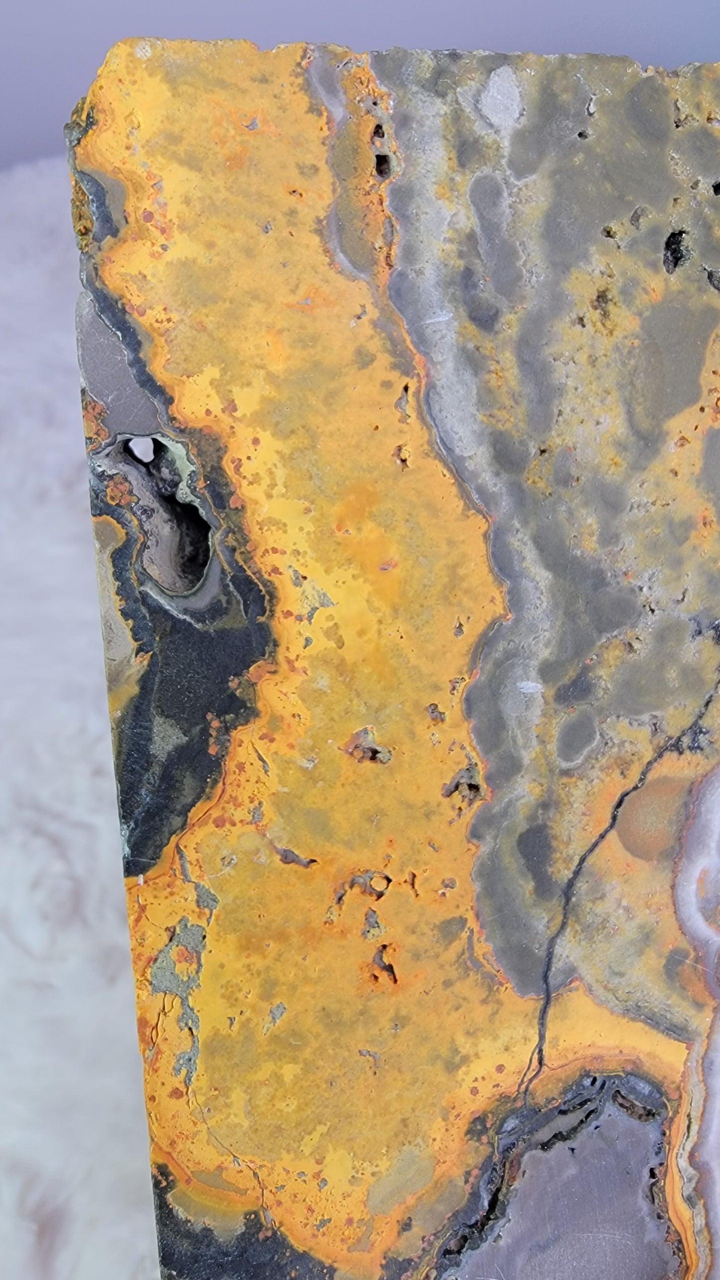 Bumble Bee Jasper Slab